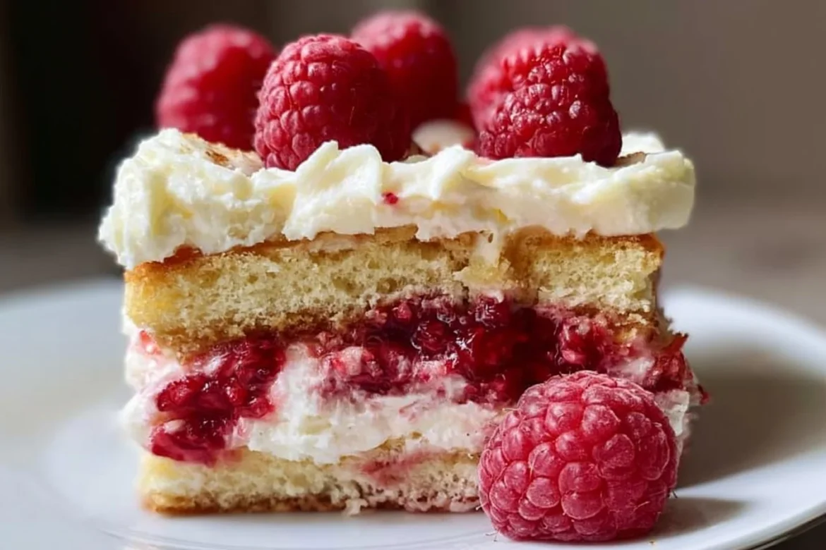 Delicious Raspberry Amaretto Tiramisu dessert with layers of coffee and raspberry.